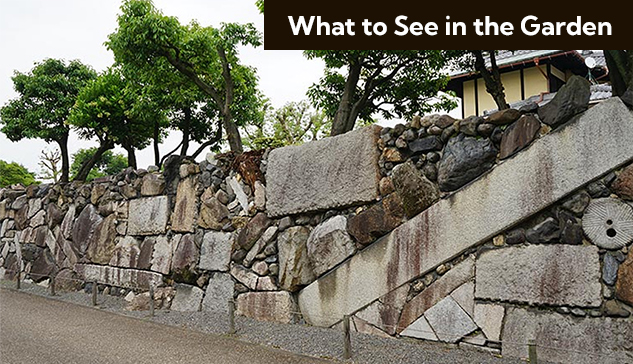 What to See in the Garden
